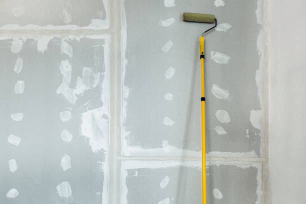  South Oroville, CA Mold Removal Pros