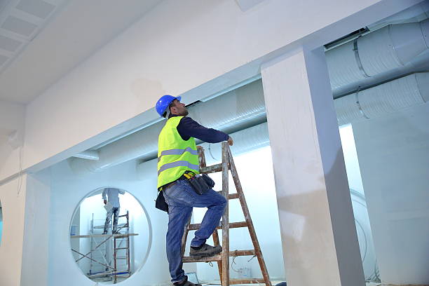 Trusted South Oroville, CA Mold Removal Experts